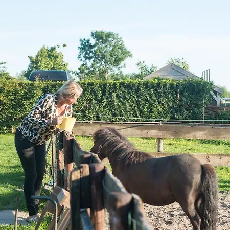 Bed & Breakfast Broeks' Bed En Brood 3*