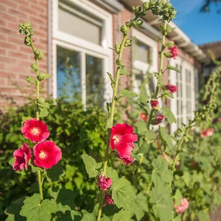 Broeks' Bed En Brood