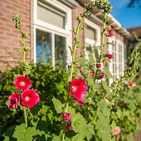 Broeks' Bed En Brood Bed & Breakfast 3*