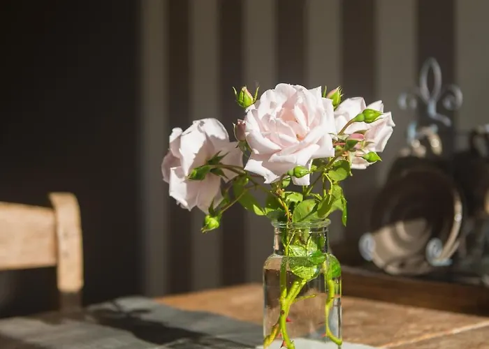 Broeks' Bed En Brood