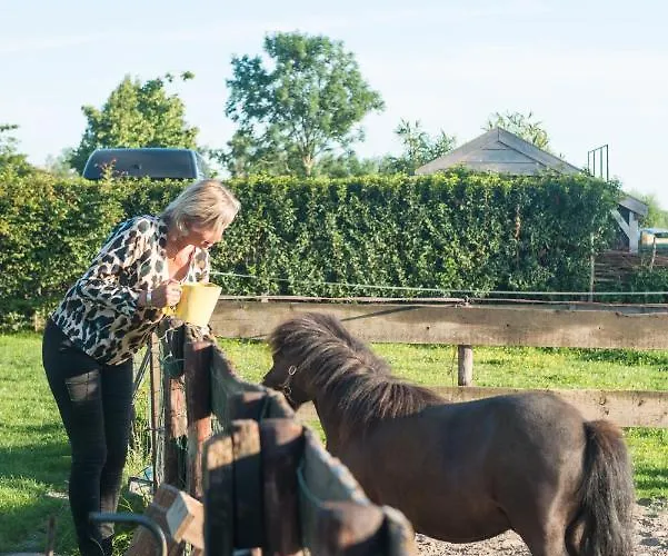 Bed & Breakfast Broeks' Bed En Brood 3*
