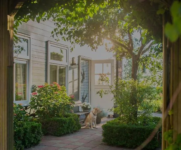 Bed and breakfast Broeks' Bed En Brood