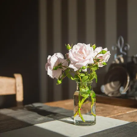 Broeks' Bed En Brood