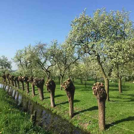Broeks' Bed En Brood Oda ve Kahvaltı
