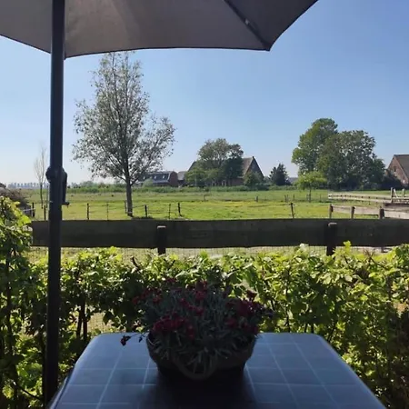 Oda ve Kahvaltı Broeks' Bed En Brood Meerkerk