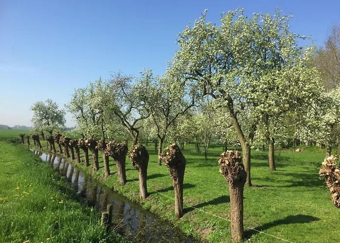 Broeks' Bed En Brood Oda ve Kahvaltı