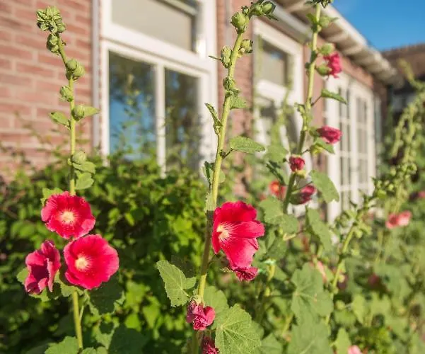 Broeks' Bed En Brood